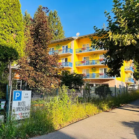 Vegan & Restaurant Guest house
