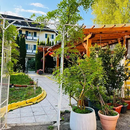 Vegan & Restaurant