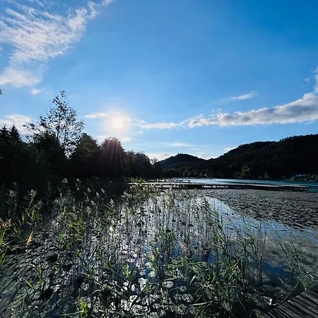 Vegan & Restaurant *