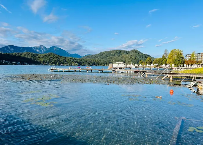 בית הארחה Vegan & Restaurant