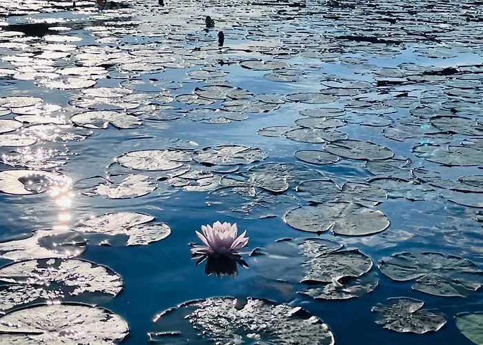 בית הארחה Vegan & Restaurant *